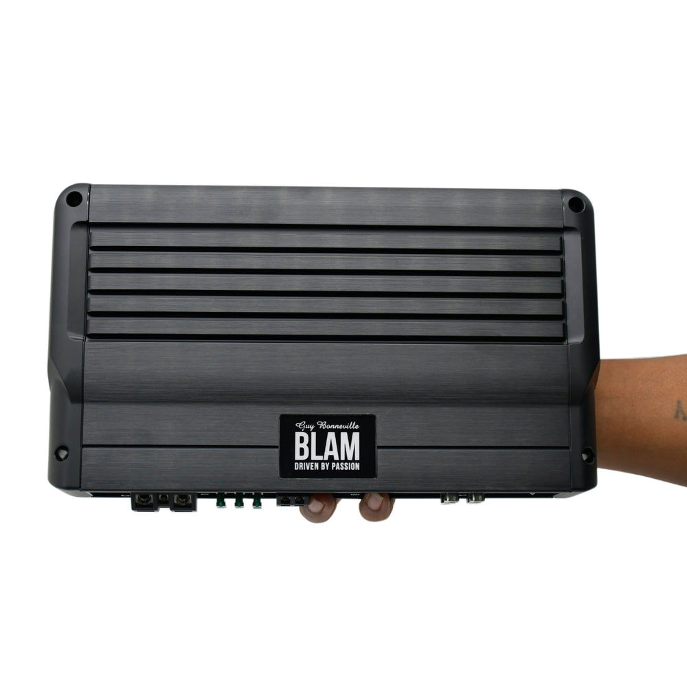 
                  
                    BLAM Mono Amplifier-LA1100D
                  
                