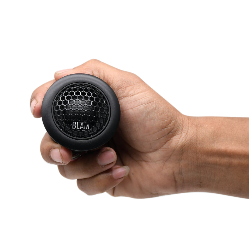 
                  
                    BLAM 8" Component Speaker-200 RS
                  
                