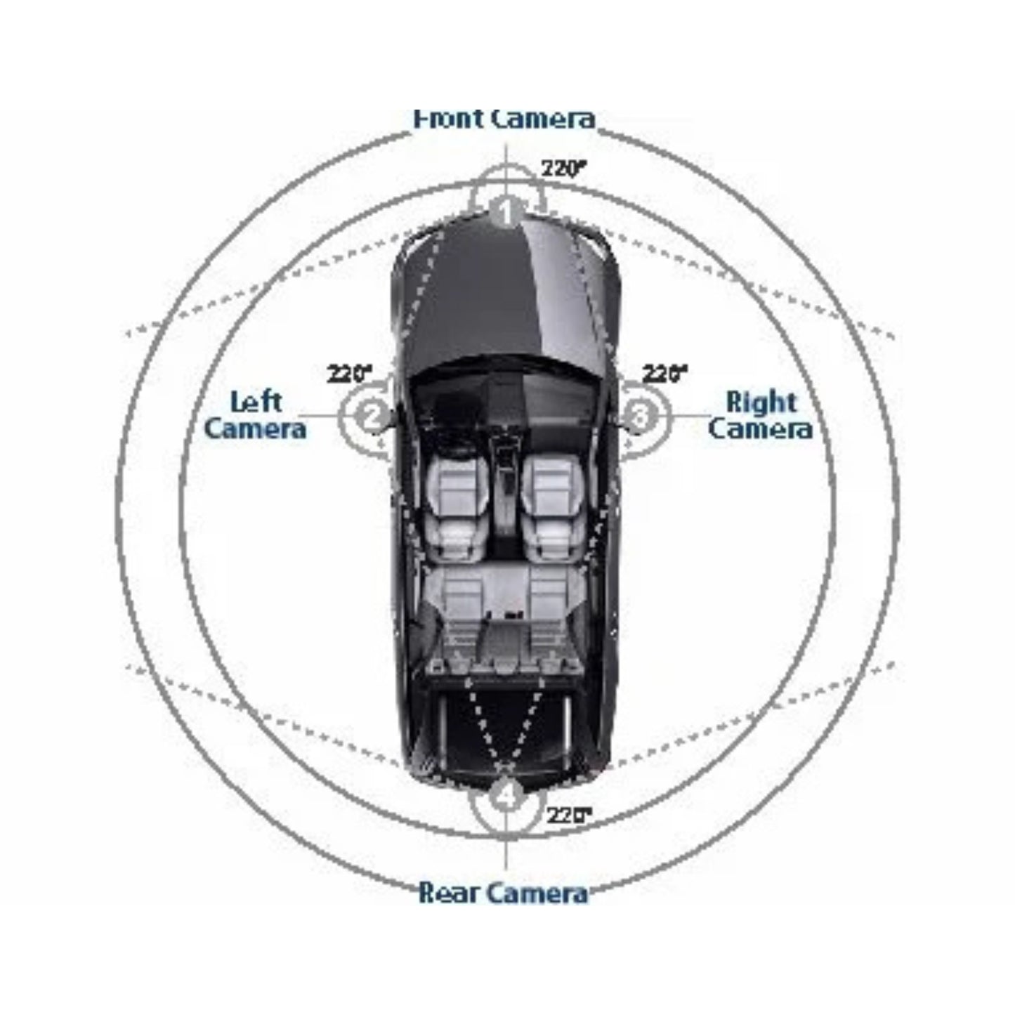 
                  
                    BLAUPUNKT BP3600 HD360° View Camera System-CAMERA-BLAUPUNKT-CARPLUS
                  
                