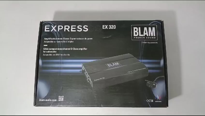 
                  
                    Load and play video in Gallery viewer, BLAM Mono Block Amplifier-EX 320
                  
                