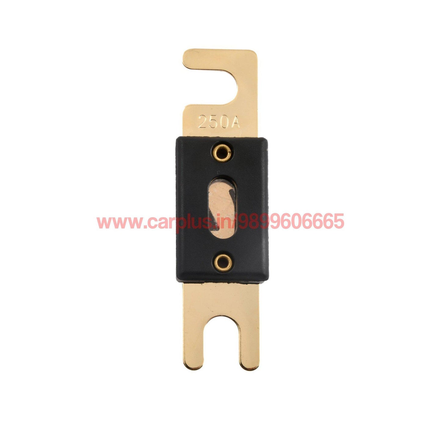 
                  
                    X-DECIBEL ANL Fuse Gold Plated X-DECIBEL FUSES.
                  
                