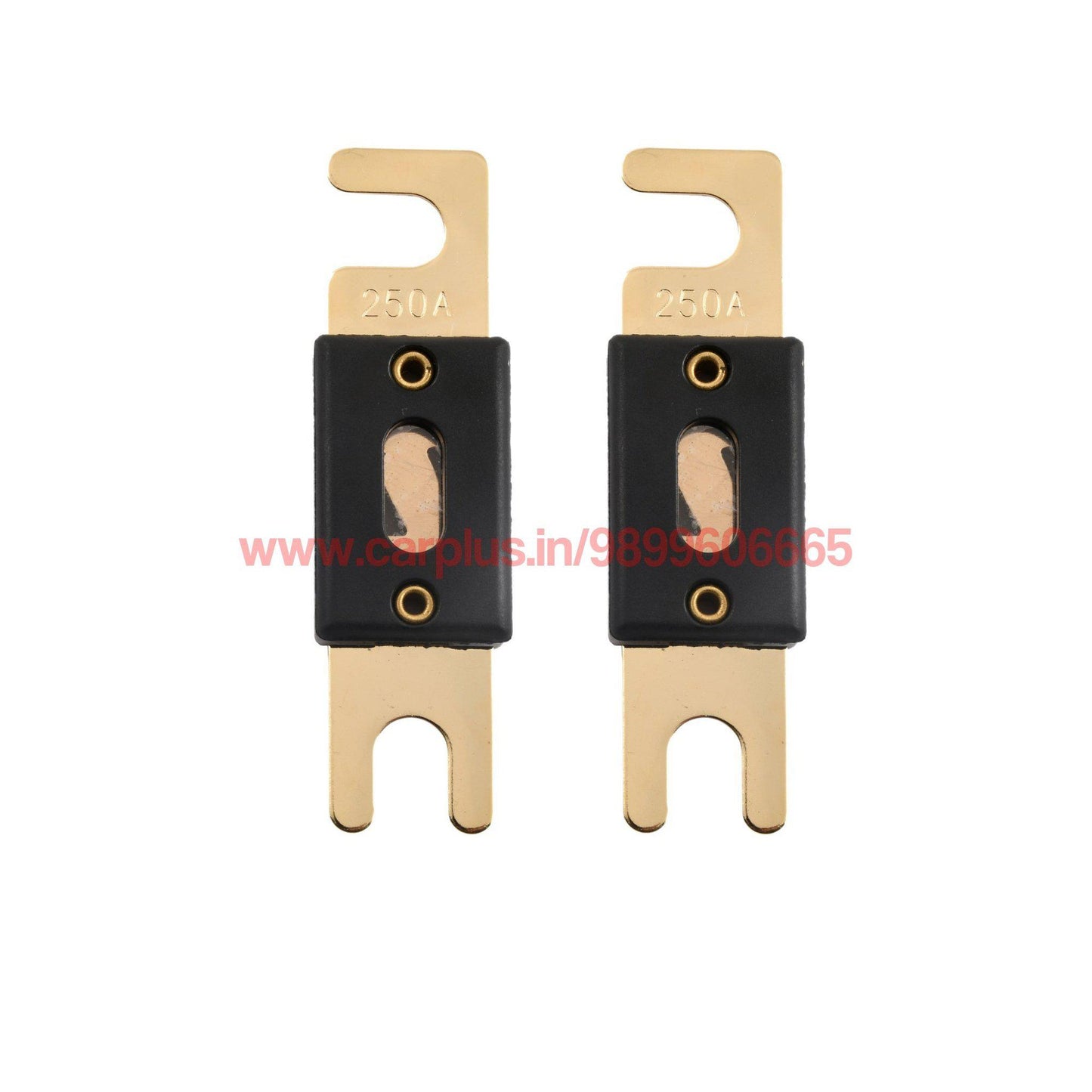 
                  
                    X-DECIBEL ANL Fuse Gold Plated X-DECIBEL FUSES.
                  
                