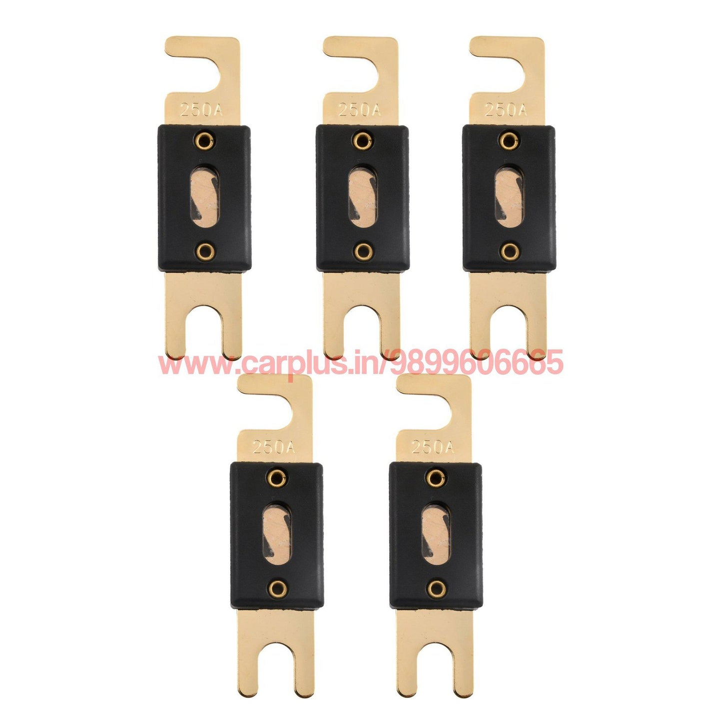 
                  
                    X-DECIBEL ANL Fuse Gold Plated X-DECIBEL FUSES.
                  
                