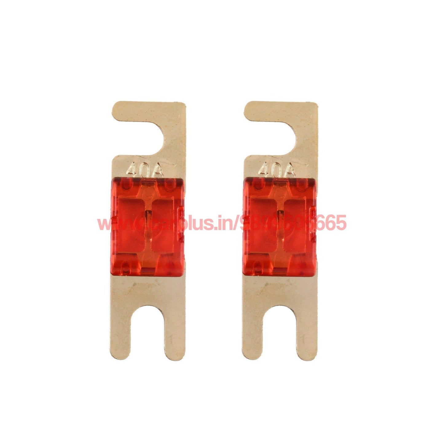 X-DECIBEL Mini Anl Fuse Gold-Plated X-DECIBEL FUSES.